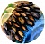 Мидии голубые в сливочно-чесночном соусе (в раковине 40-60 шт/кг), 500 г